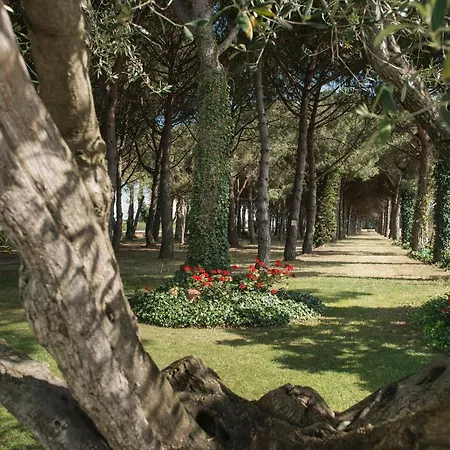 Hotel El Moli *